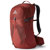 Gregory Citro 24 Backpack for Men: Picture 1 thumbnail